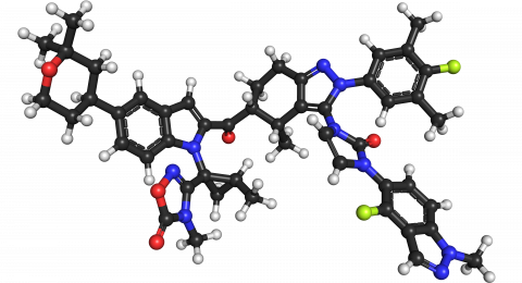 حبّة للتنحيف قد تُحدث ثورة: دواء جديد من 