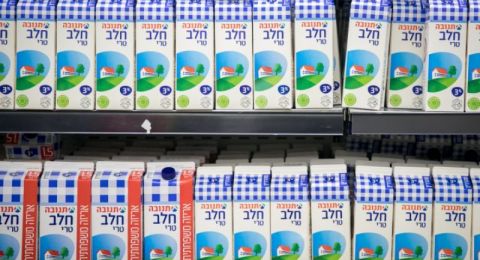 مجلس الألبان يعارض قرار وزير المالية بإلغاء الإعفاء الجمركي على استيراد الحليب من بولندا