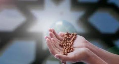 دعاء اليوم الثاني من شهر المولد النبوي.. 8 كلمات تعوض خسائرك كلها