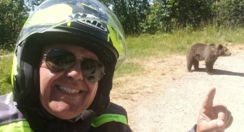 رومانيا تواجه تزايدًا في هجمات الدببة على السكان والسياح