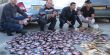 الشرطة تضبط كمية كبيرة من المخدرات في جنين