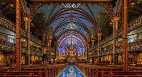 كاتدرائية نوتردام تستعيد مجدها بعد 5 سنوات من الحريق المدمر