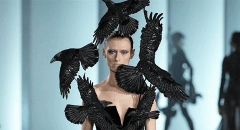 تصاميم غريبة.. إليكم كيف بدا 