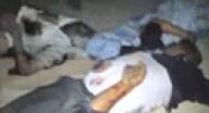 مذبحة مذبحة