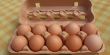 فضيحة غذائية: بيع بيض ملوث بمادة سامة وتأخر تحذير الجمهور لعشرة أيام