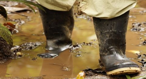 ما خطورة الأقدام المبللة؟