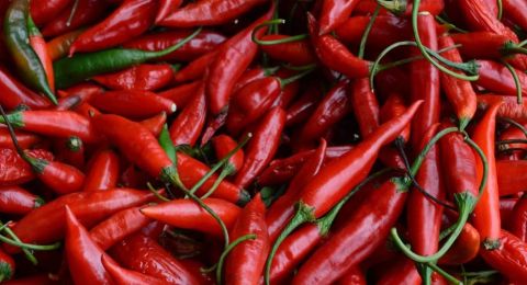 فوائد وأضرار الأكل الحار.. بين الطعم اللاذع والمخاطر الصحية