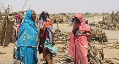 السودان: أكثر من 36 ألف نازح يغادرون الفاشر بسبب العنف المستمر