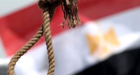 بعد جريمة مروّعة في مصر… المتهمان بقتل تاجر الأجهزة أمام المفتي تمهيدًا للإعدام