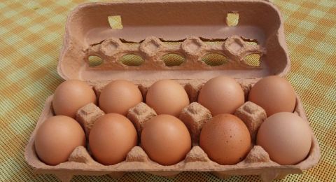 فضيحة غذائية: بيع بيض ملوث بمادة سامة وتأخر تحذير الجمهور لعشرة أيام