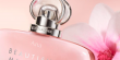 ماركة الماكياج، العناية والعطور الفاخرة إستي لاودر تطلق عطر:Beautiful Magnolia Intense