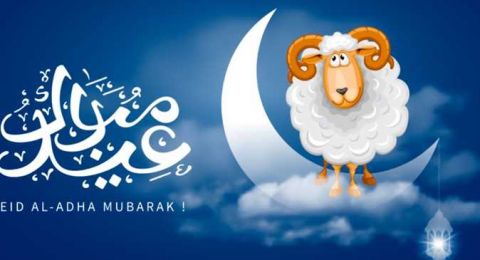 موعد استطلاع هلال ذو الحجة 2025.. متى تبدأ وقفة عرفات وعيد الأضحى؟