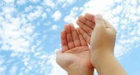 سنن الجمعة الأولى من ذي القعدة 1446.. بـ 8 أمور تبيضّ صحيفتك وتمحى خطاياك