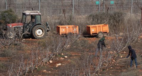 إعلان 2024 سنة جفاف رسمية وتعويضات للمزارعين المتضررين