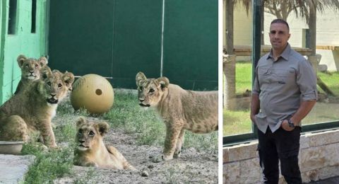 اثر مصرع عامل بهجوم نمر..أشرف كنعان لبكرا: 