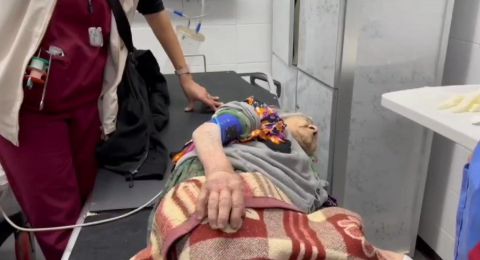 معجزة.. انتشال مسنة فلسطينية على قيد الحياة بعد أكثر من 60 يوما تحت الأنقاض