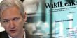 ويكيليكس يكشف أشد ما يثير فزع السعودية