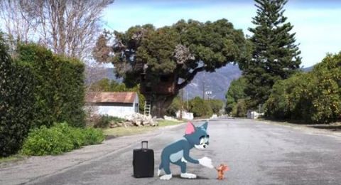 توم أند جيري يتصدر إيرادات السينما في أمريكا الشمالية