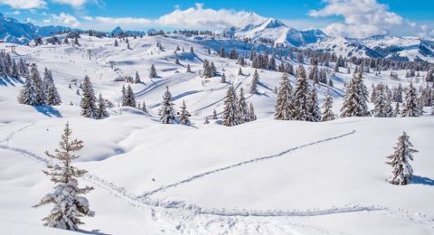 السياحة في شامونيه فرنسا: أفضل وجهة سياحية للتزلج