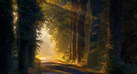 حالة الطقس: انخفاض طفيف على الحرارة واحتمال سقوط أمطار خفيفة