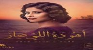 أهو ده اللي صار -  الحلقة 22