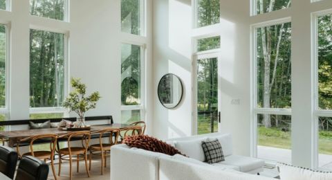 ما هو الديكور الحيوي؟ إليك تعريفه وطريقة تطبيقه في منزلك