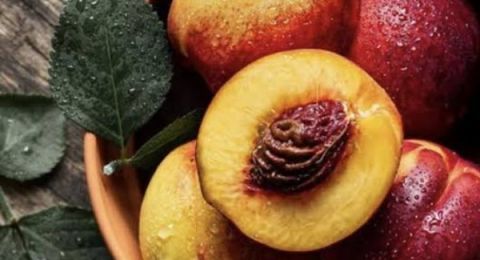 فوائد لن تخطر ببالك .. زيت الخوخ مفيد للبشرة والصحة