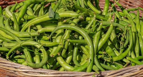 مادة غذائية تخفض مستوى الكوليسترول