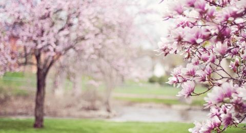 حالة الطقس: أجواء صافية ومعتدلة