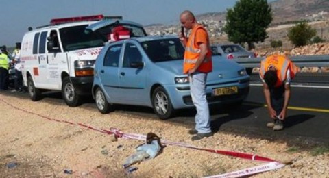 اليوم العالمي للمسنين: نسبة إصابة المسنين ضعف نسبتهم من مجمل السكان