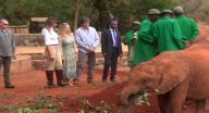 فيل يهاجم ميلانيا ترامب ويدفعها بقوة في كينيا