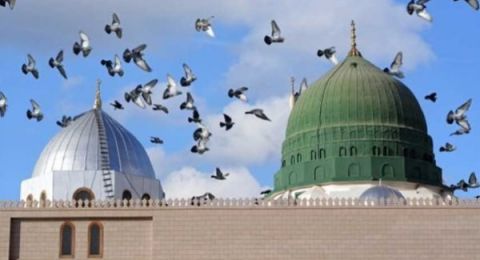 إحياء ذكرى المولد النبوي الشريف .. فريضتان تمحوان الذنوب وتعادلان عتق رقبة