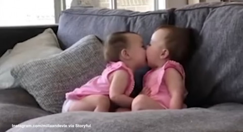 فيديو يأسر القلوب لتوأمتين لا تكفان عن تقبيل بعضهما